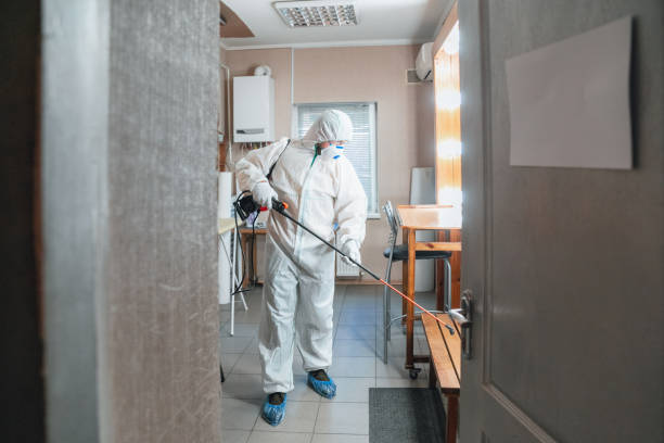 Best Basement Mold Removal  in Dasher, GA